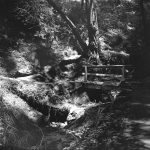 Photo Le Pont dans la forêt, Muir Woods, Californie, mai 2010